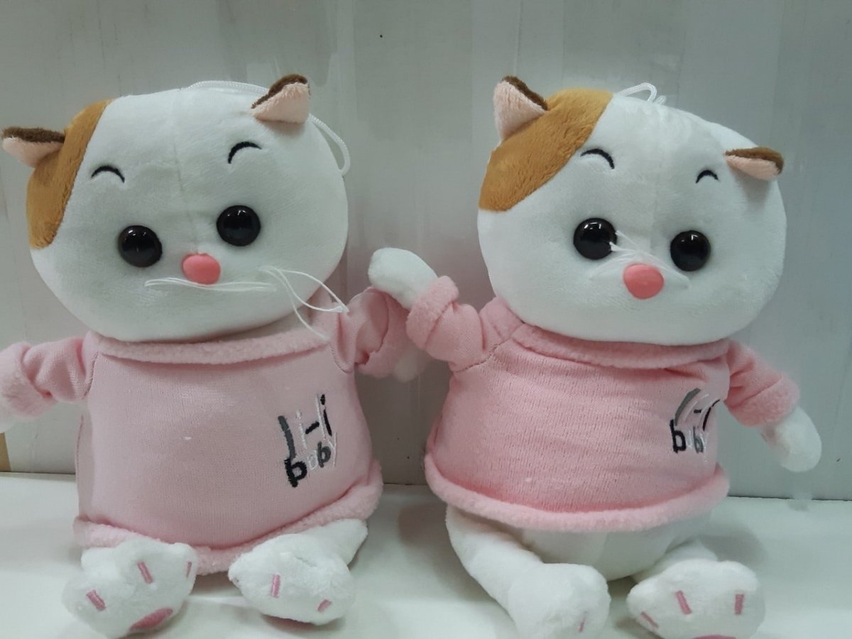 Паспорт кота Басика