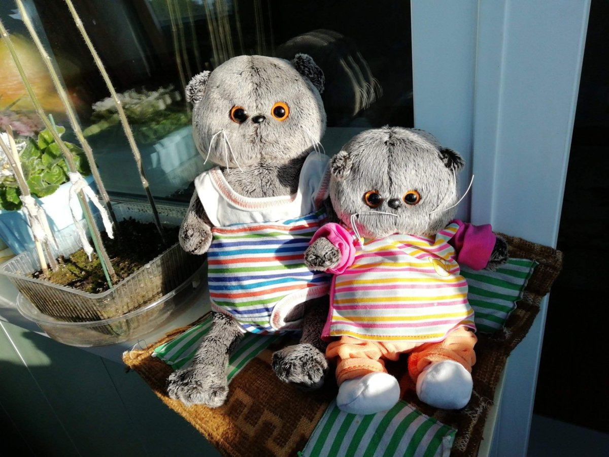 Басик кот Басик игрушка