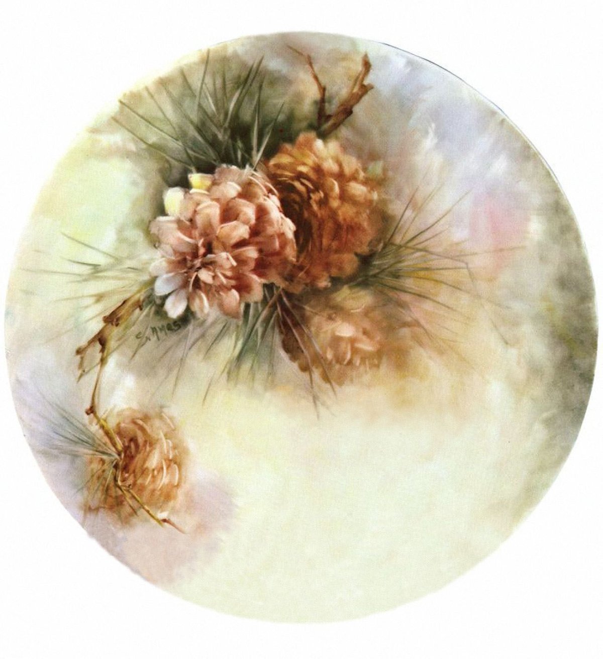 Художник Соня Эймс