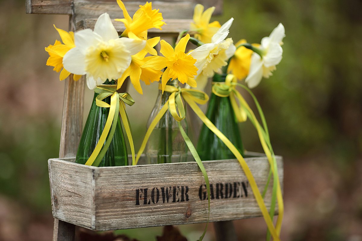 Красивый букет нарциссов