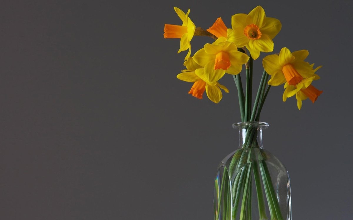 Ваза Нарцисс
