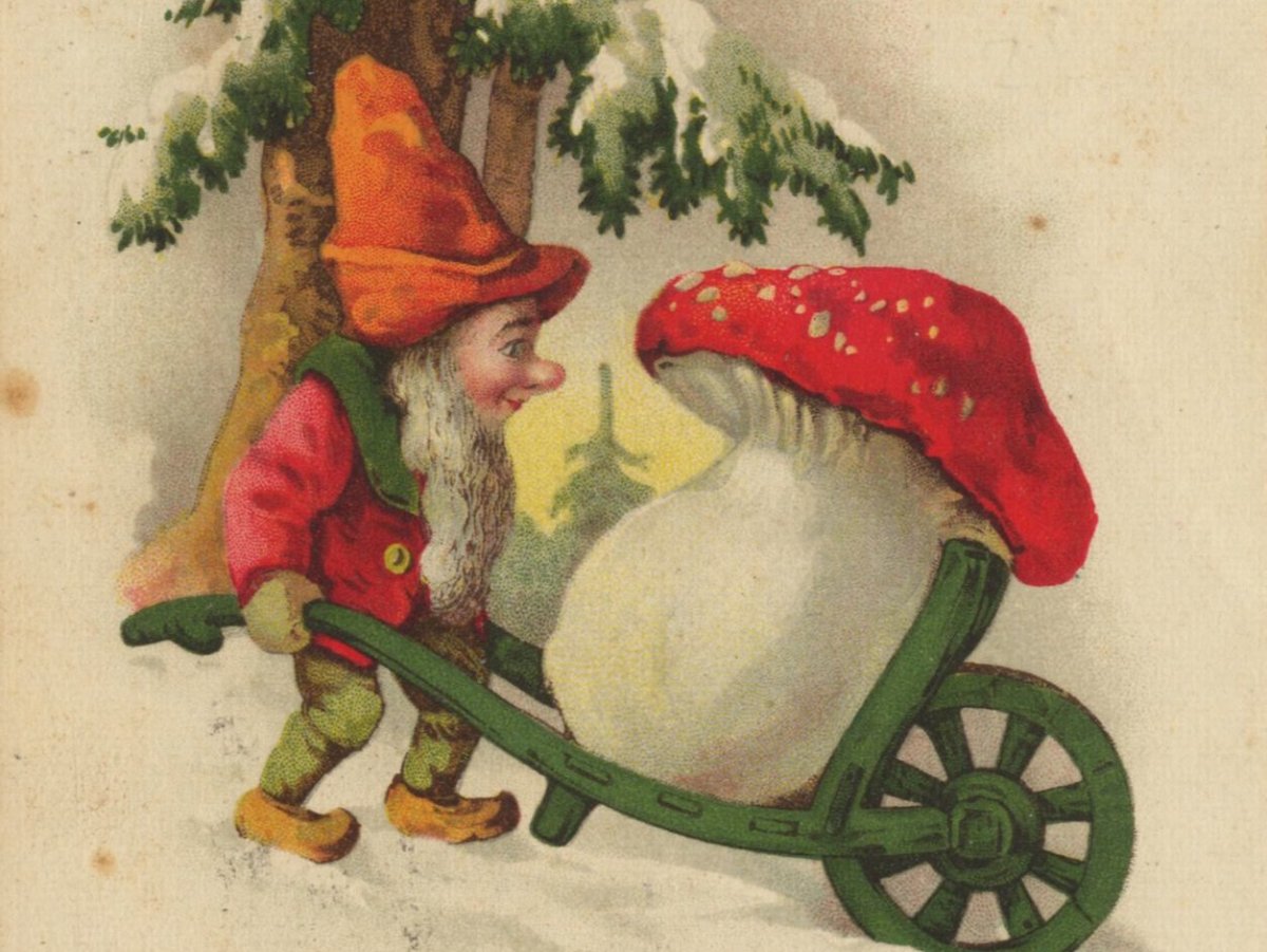 Спокойной ночи зимней ночи