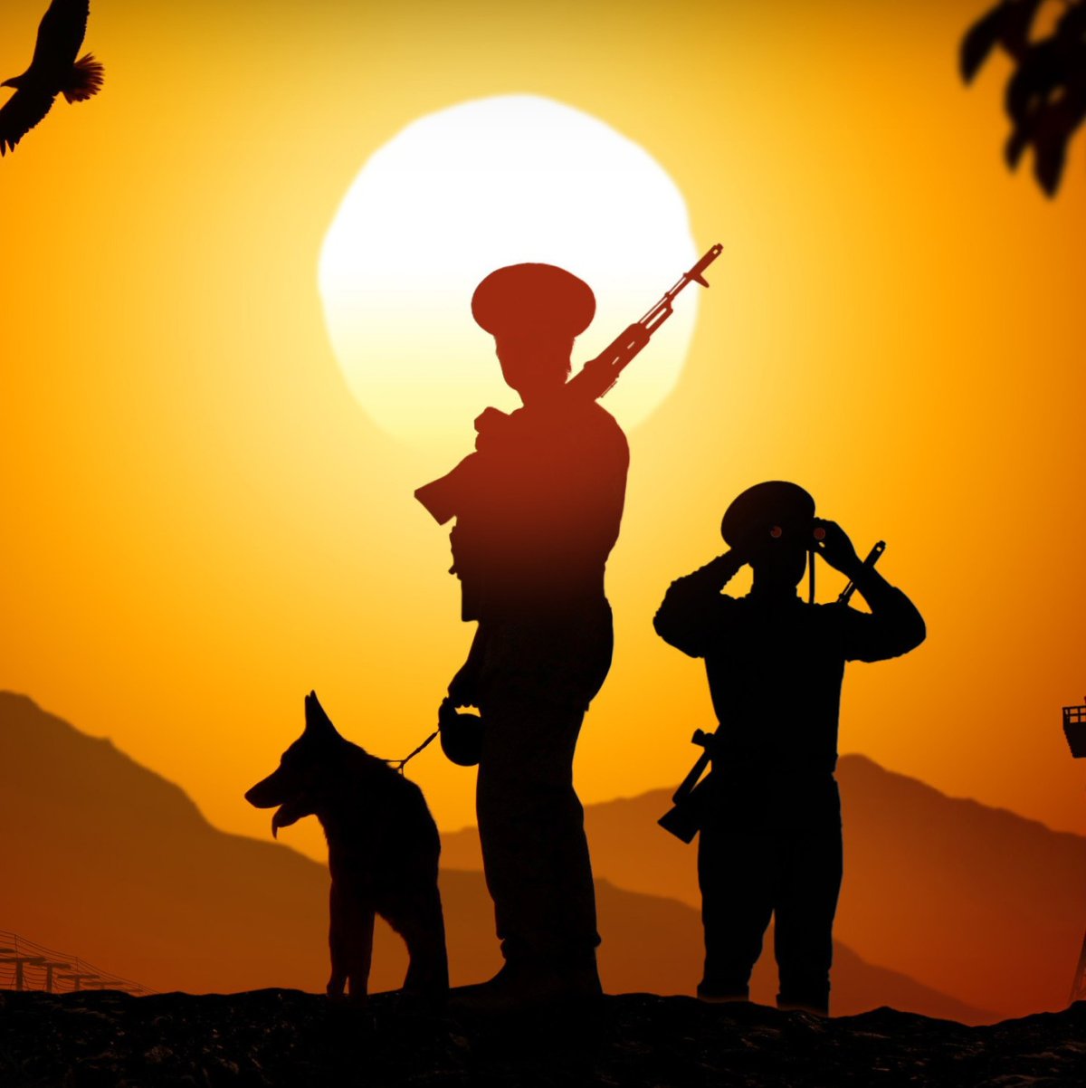 С днем рождения пограничник