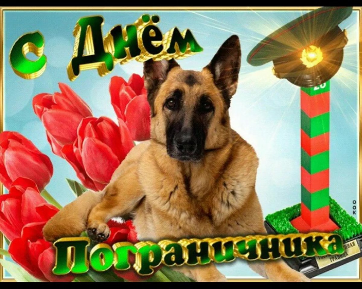 С днем пограничника красивые открытки