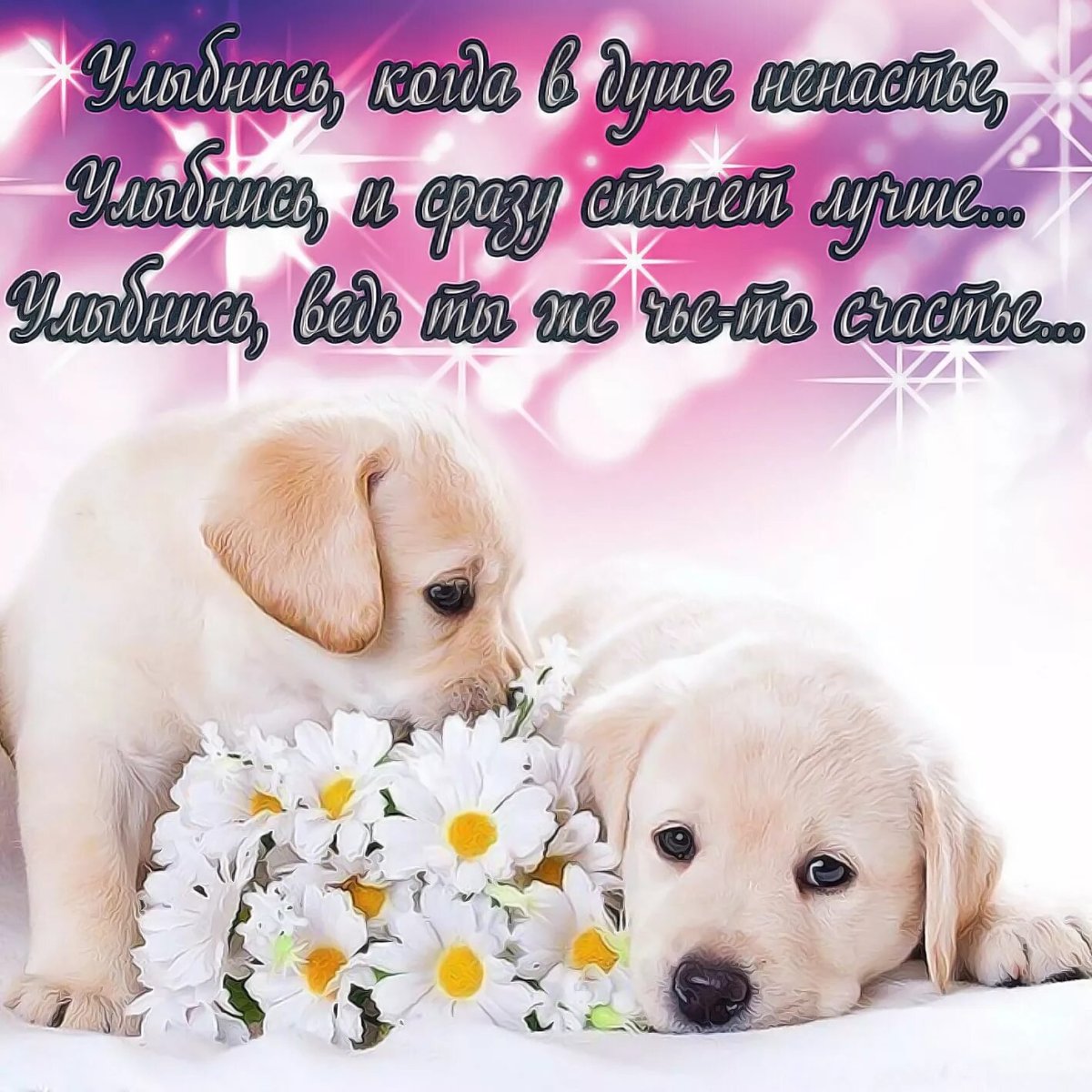 Открытка хорошего дня с собачкой