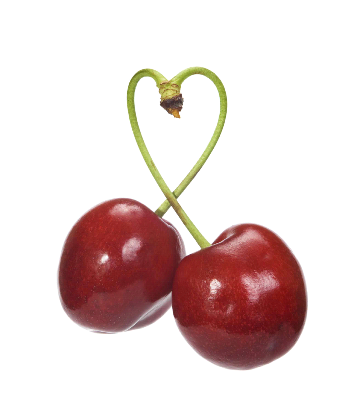 Черешня на белом фоне
