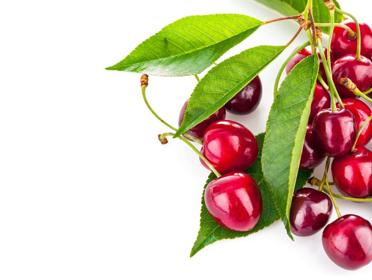 Вишня на белом фоне