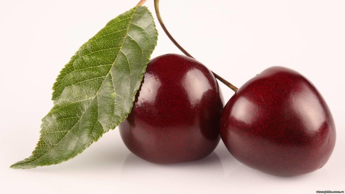 Вишня ягода