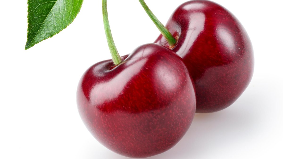 Вишня фото на белом фоне