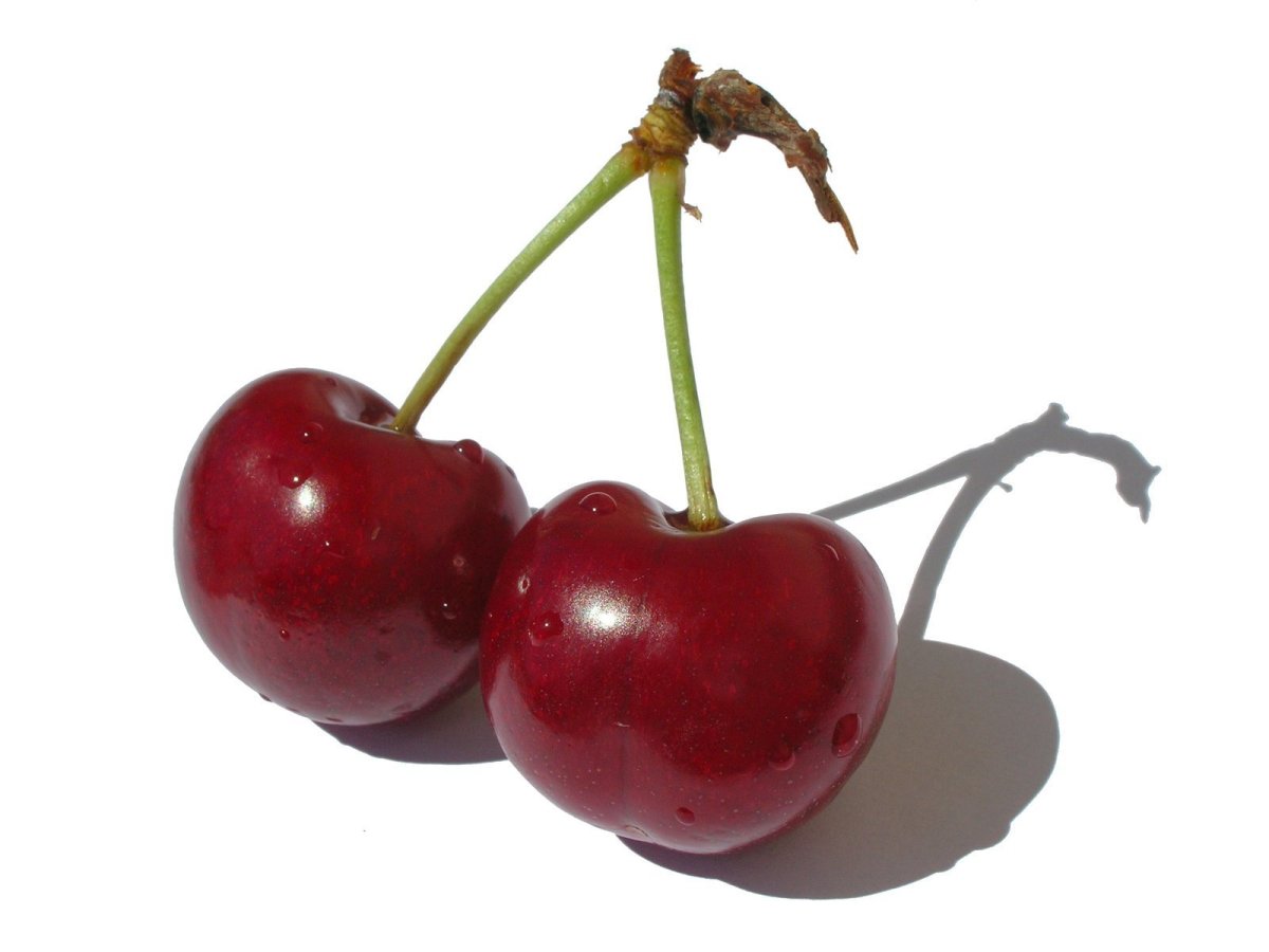 Вишня ягода