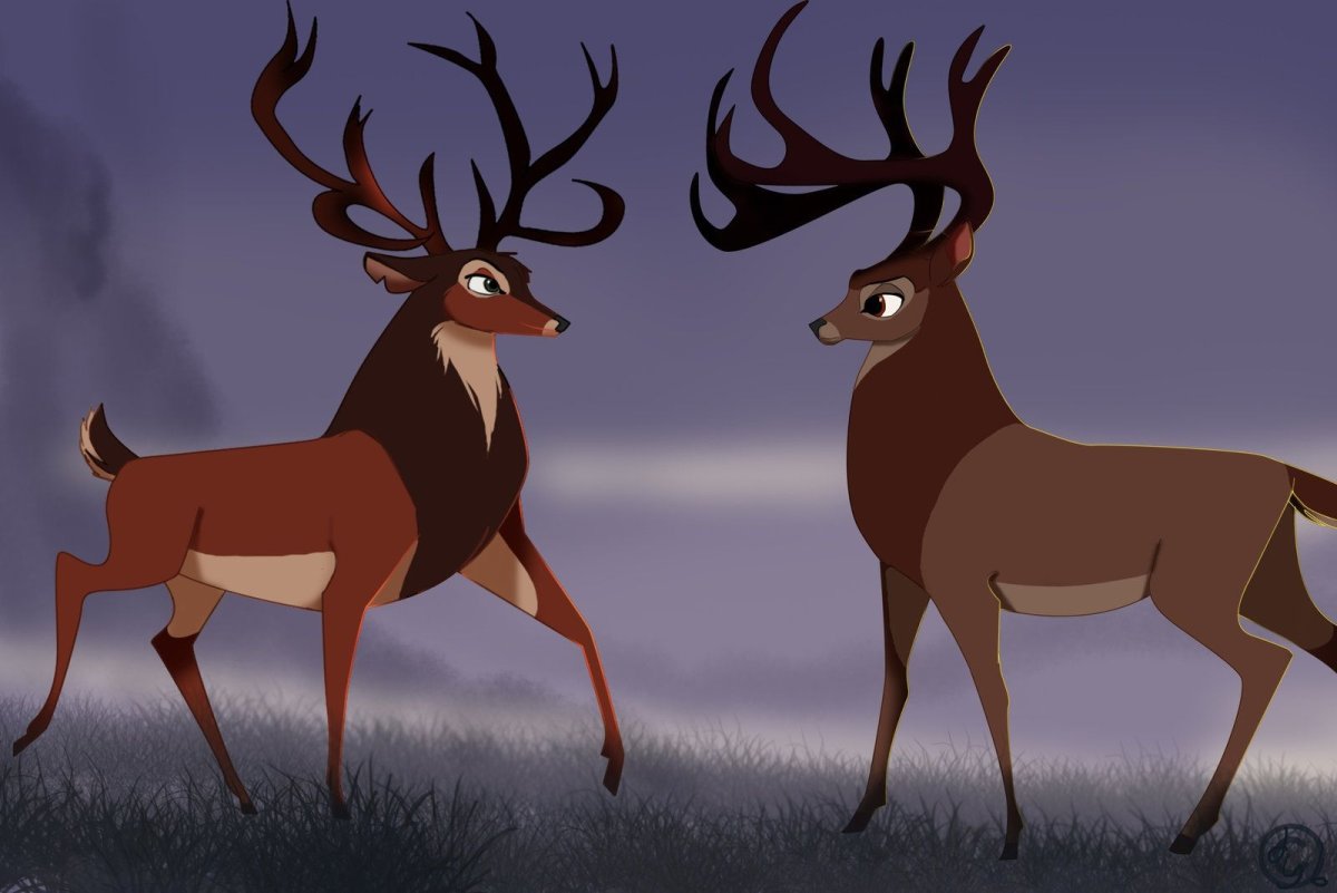 Ронно олень взрослый