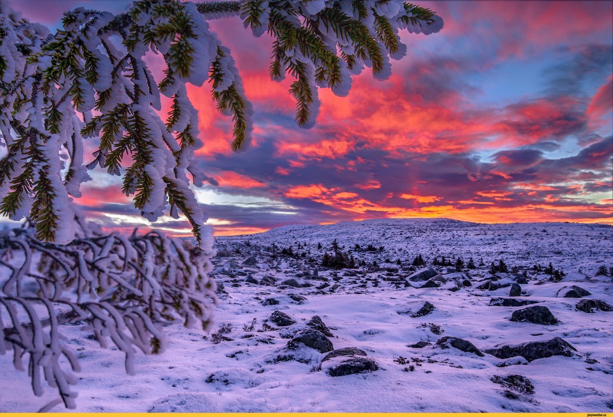 Красота зимы