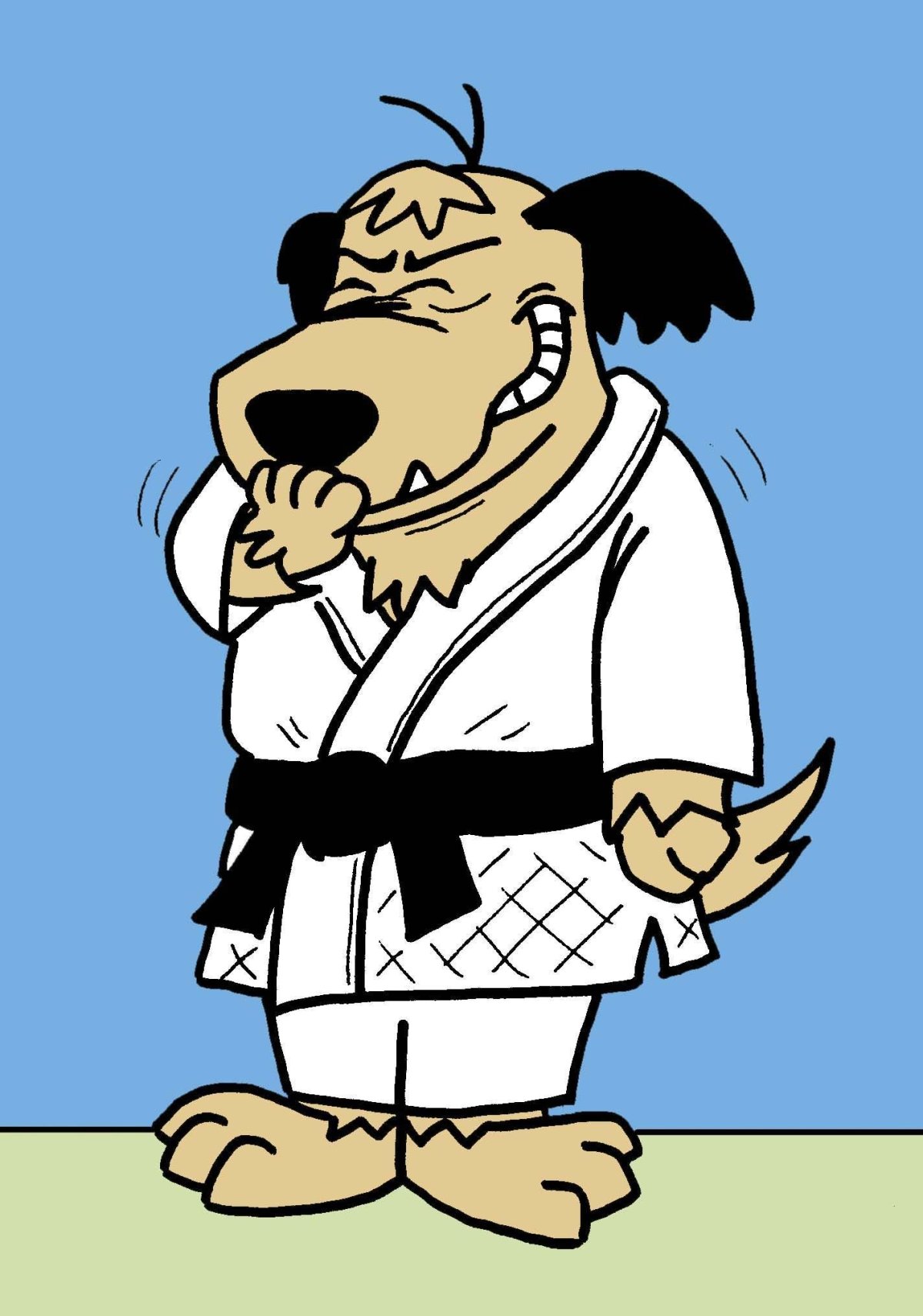 Дзюдо картина