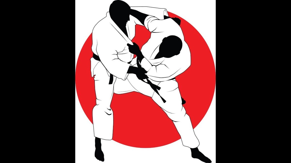 Дзюдо вектор