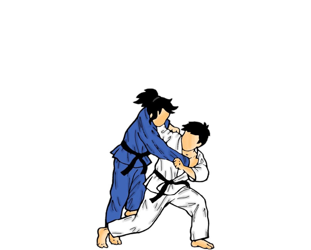 Tai Otoshi дзюдо
