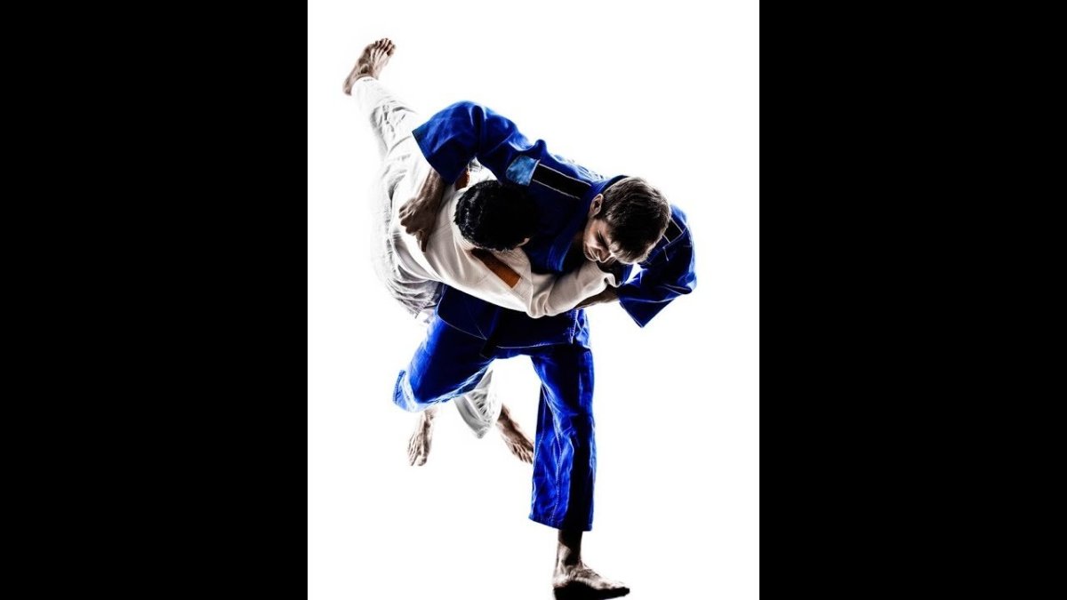 Дзюдо броски