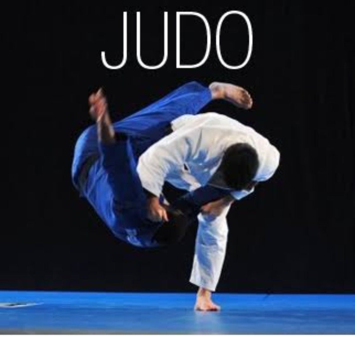 Дзюдо заставка