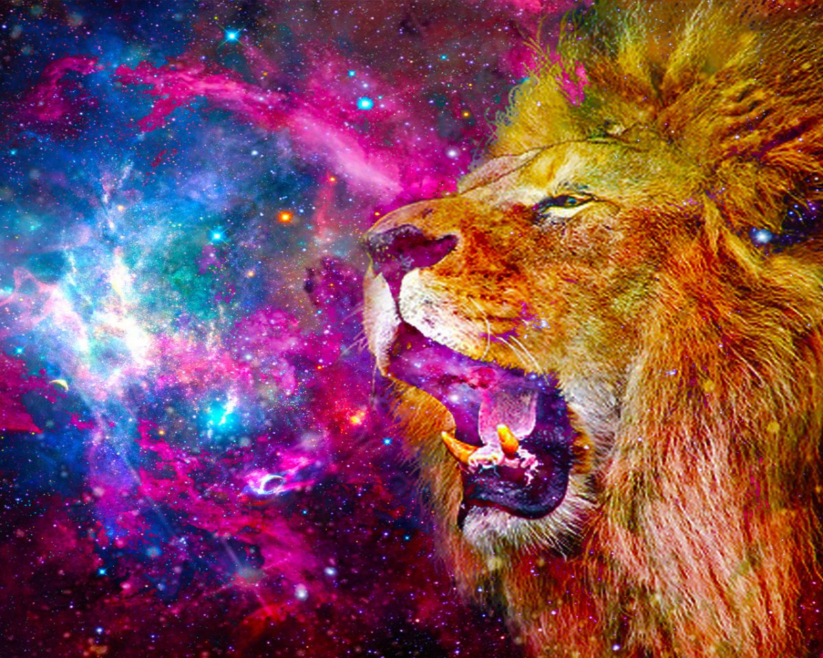 Заставка на телефон Лев