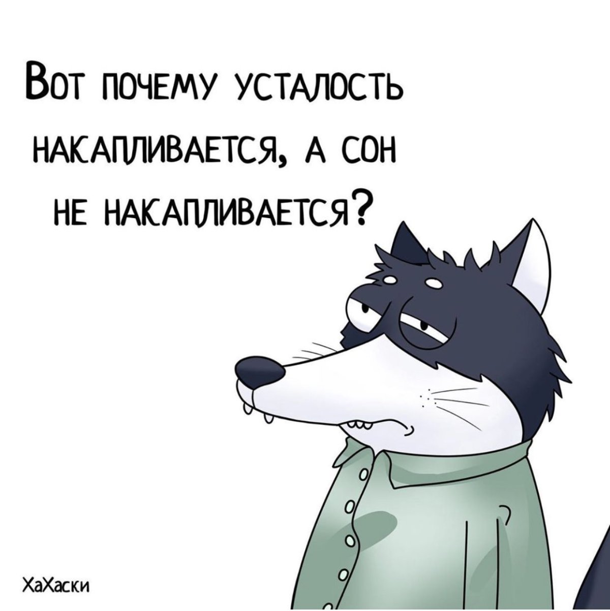 Подслушано Карабаново подслушано Карабаново