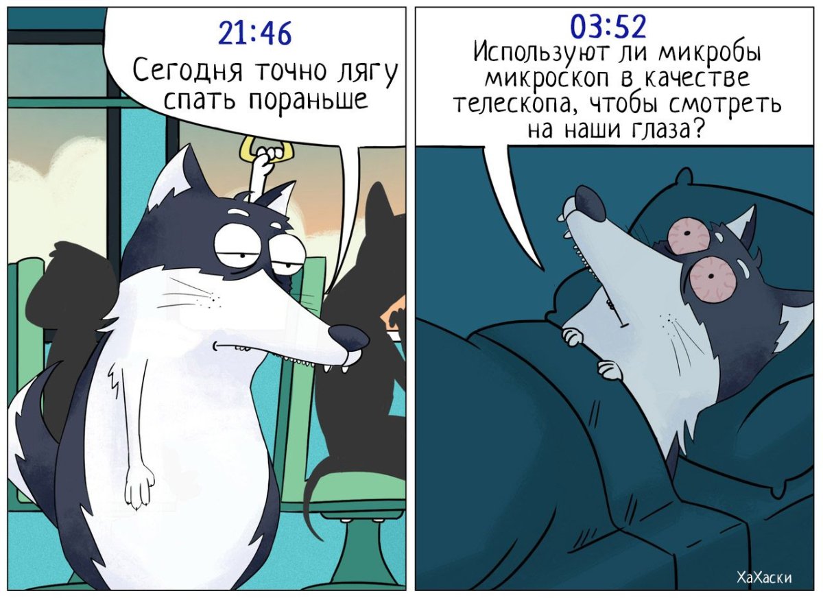 Хаски комикс