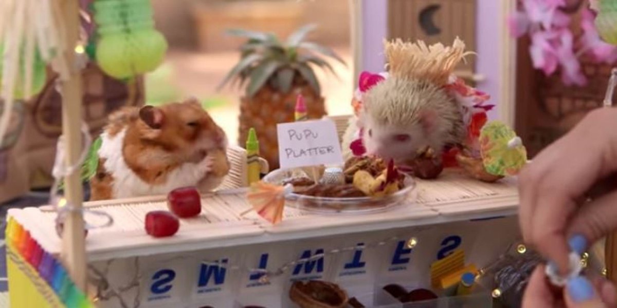 Хомяк за столом