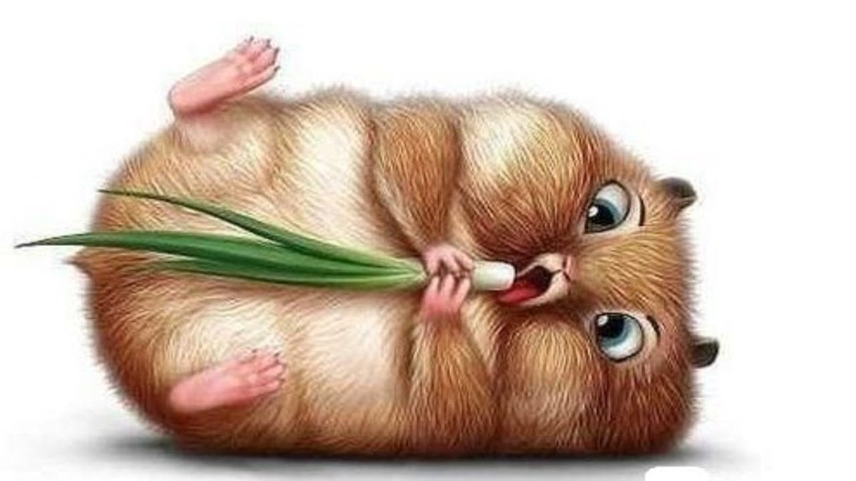 Смешные цитаты