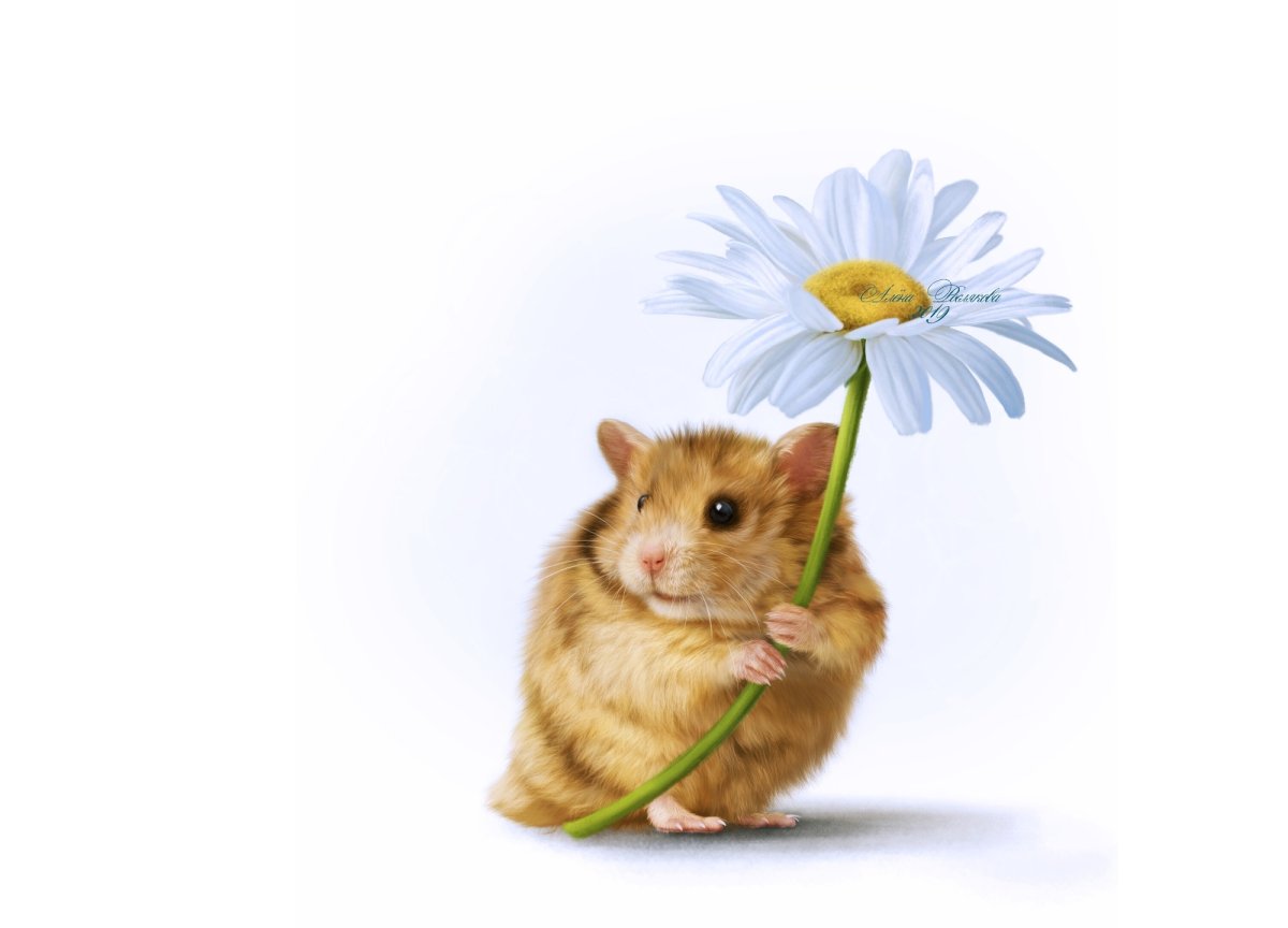 Открытка хомяк