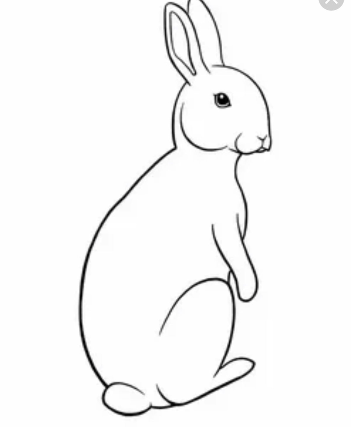 Нарисовать кролика поэтапно