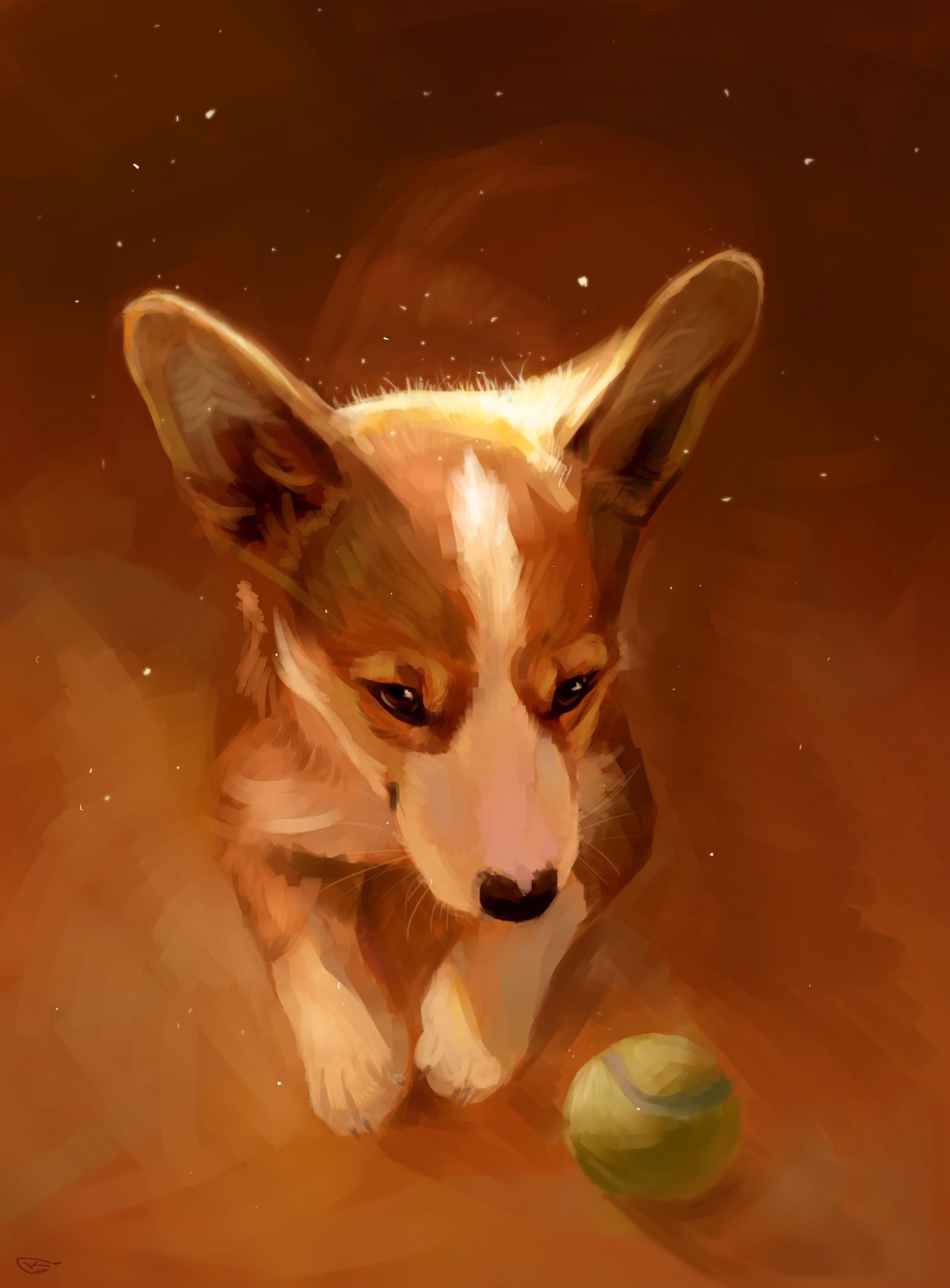 Корги арт милый