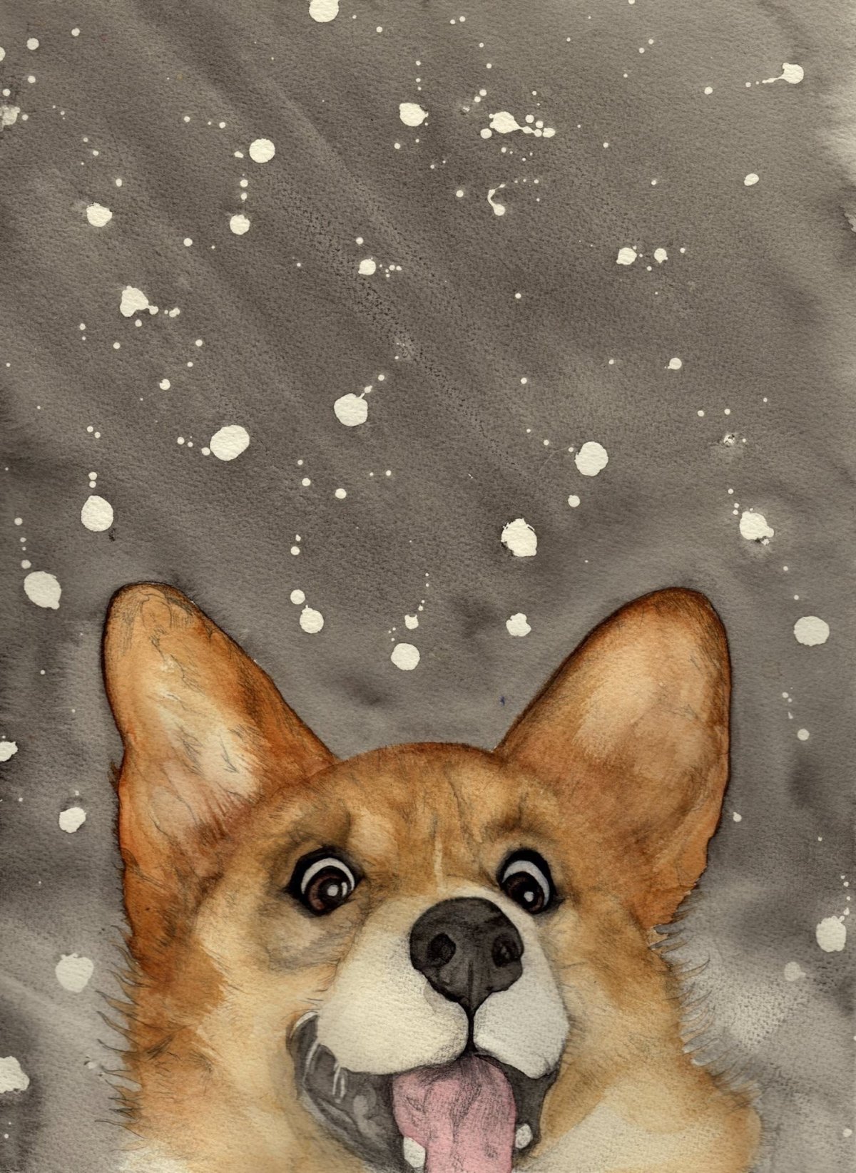 Корги пемброк щенки аниме