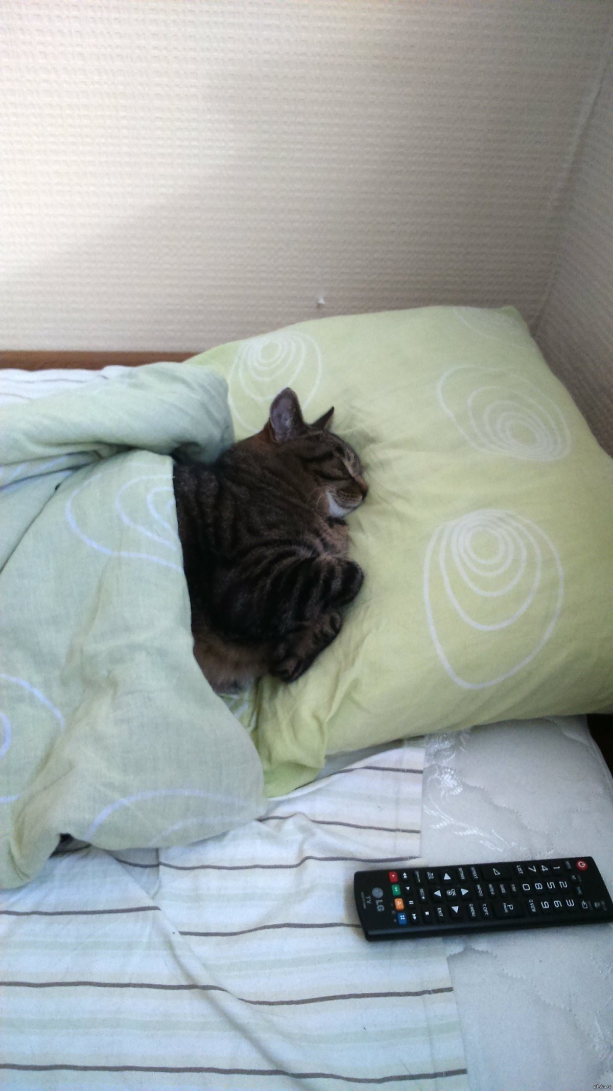 Прикольные картинки на ночь глядя