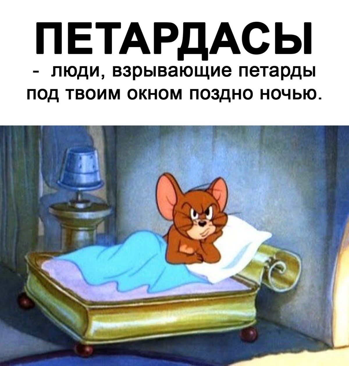 Кот и спящий хозяин
