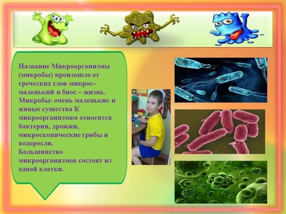 Вирусы бактерии микробы