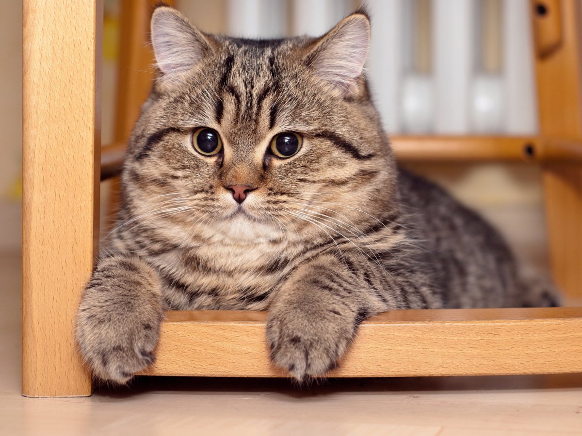 Благодарю Андрей открытка