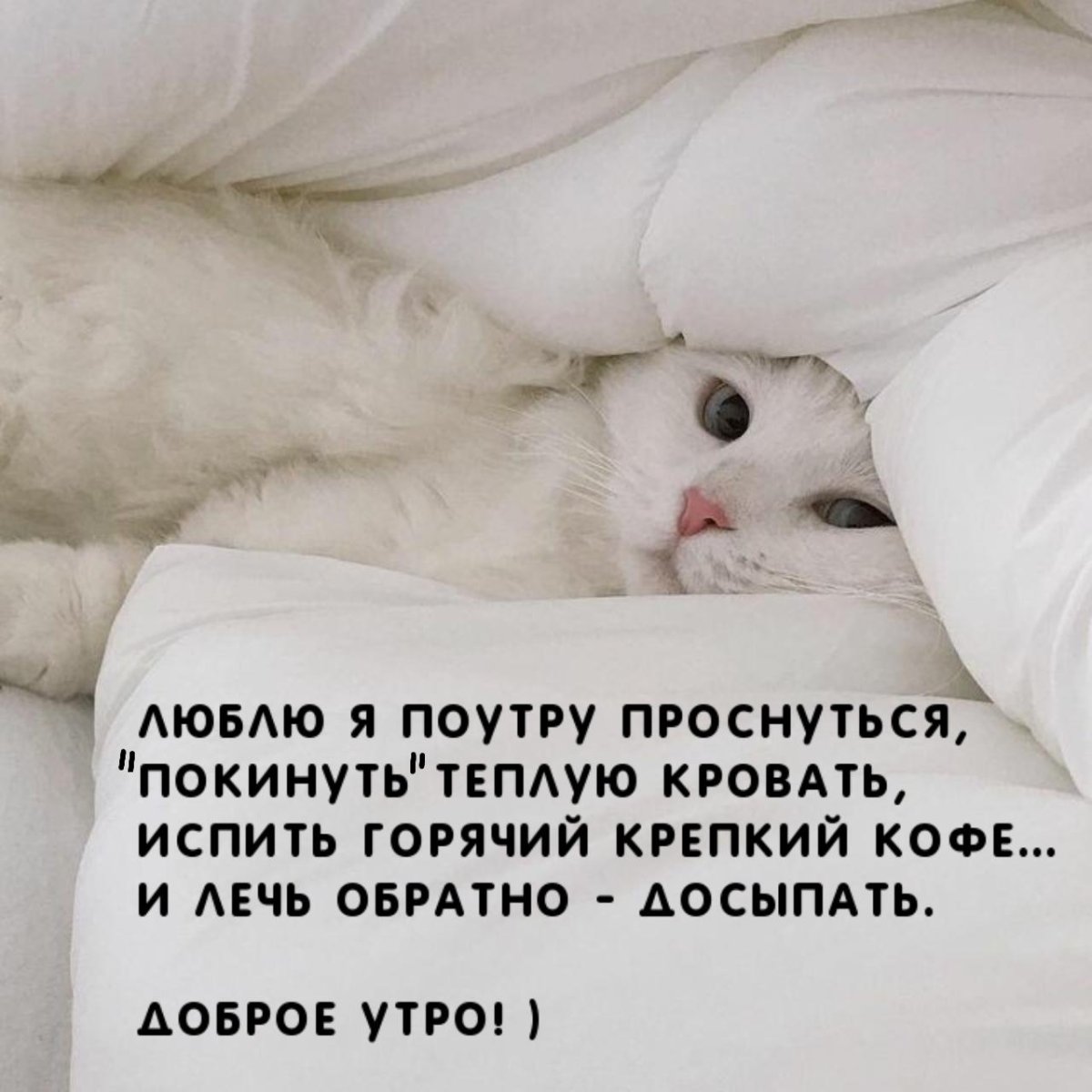 Люблю я поутру проснуться покинуть теплую кровать