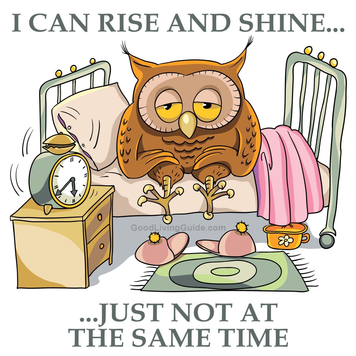 Сонная Сова