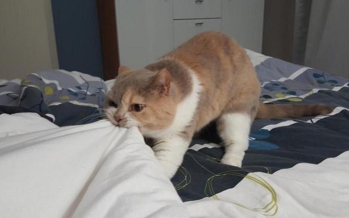 Тяжелое утро