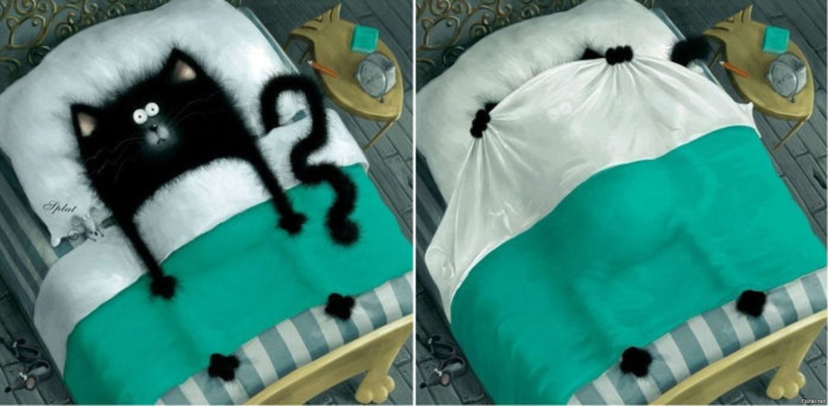 Кот выглядывает из под одеяла