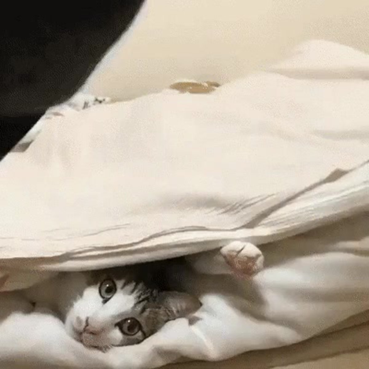 Из под одеяла