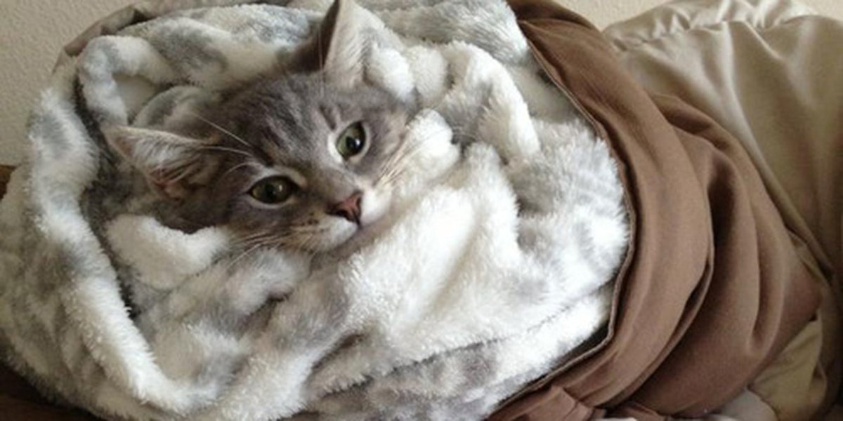 Я замерзла картинки