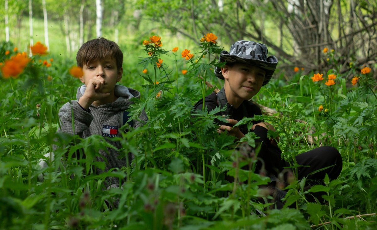 Детям об экологии