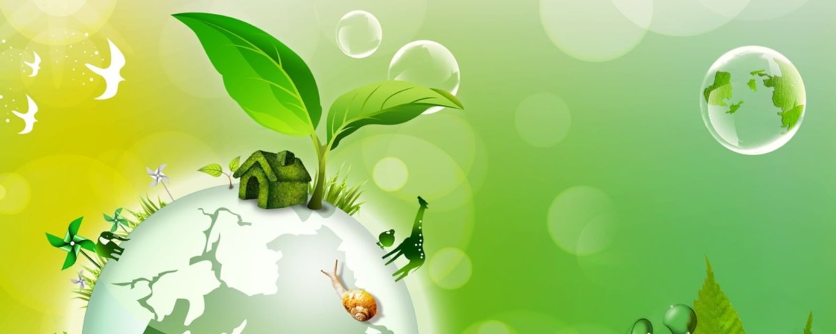 Эмблема школьного лесничества