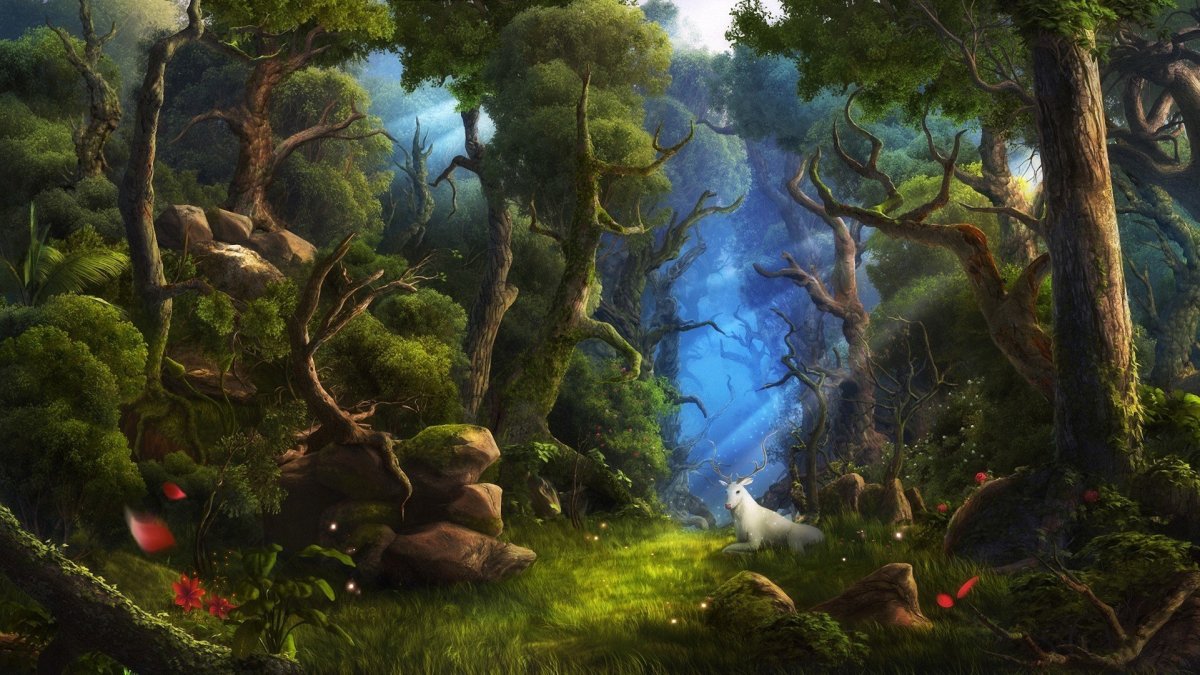 Сказочный лес