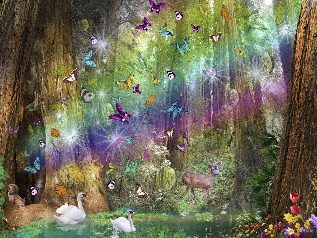 Волшебный лес с бабочками