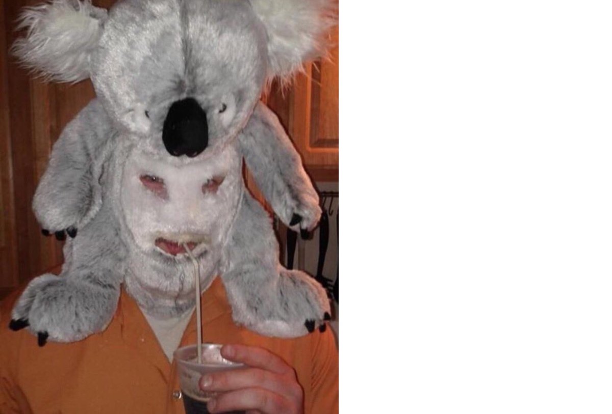 Агрессивная коала