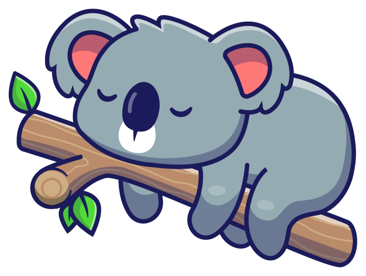 Коала мокрая коала