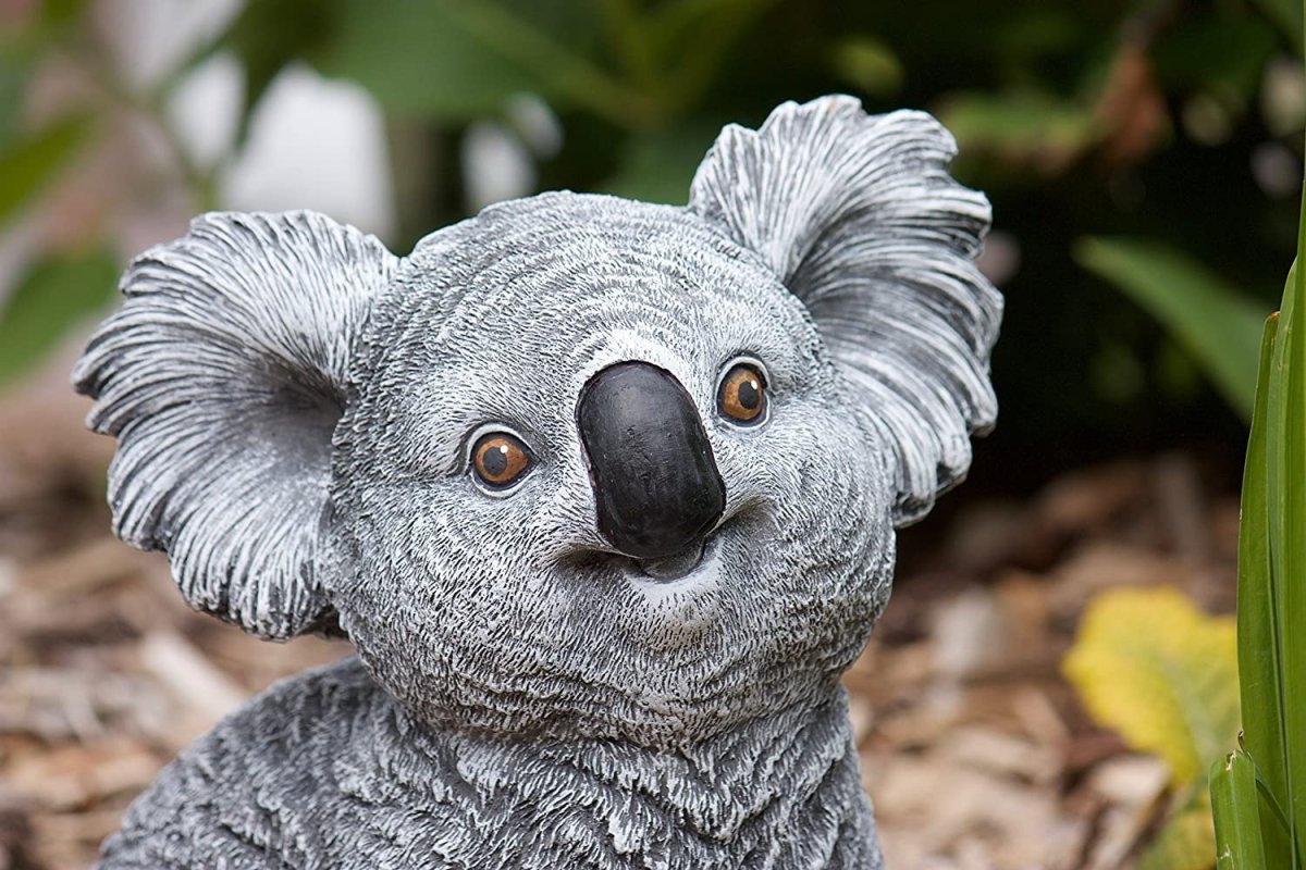 Забавные коалы