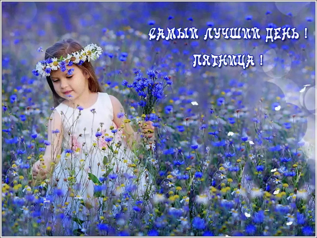 Доброго пятничного летнего дня .