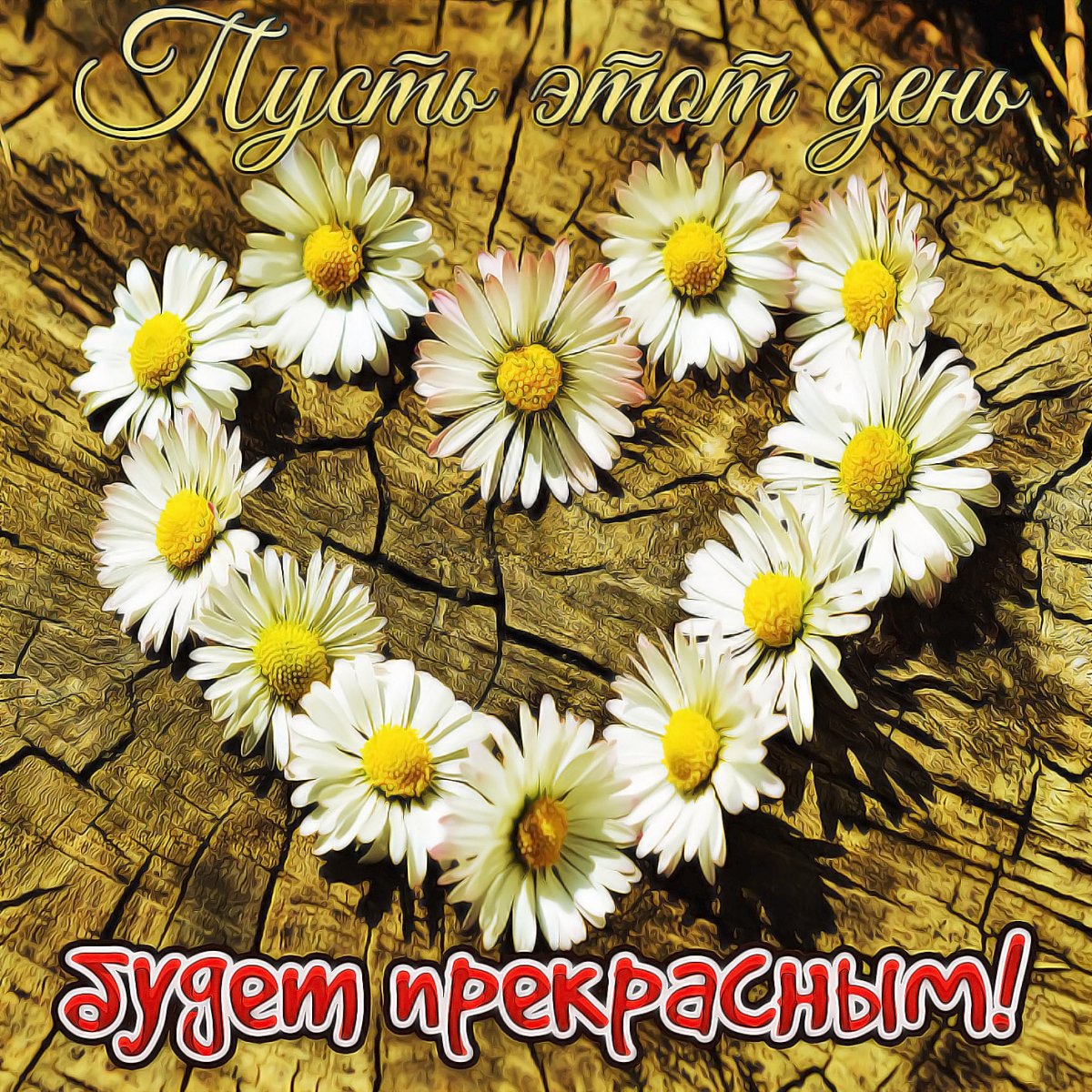 Люблю тебя Олечка