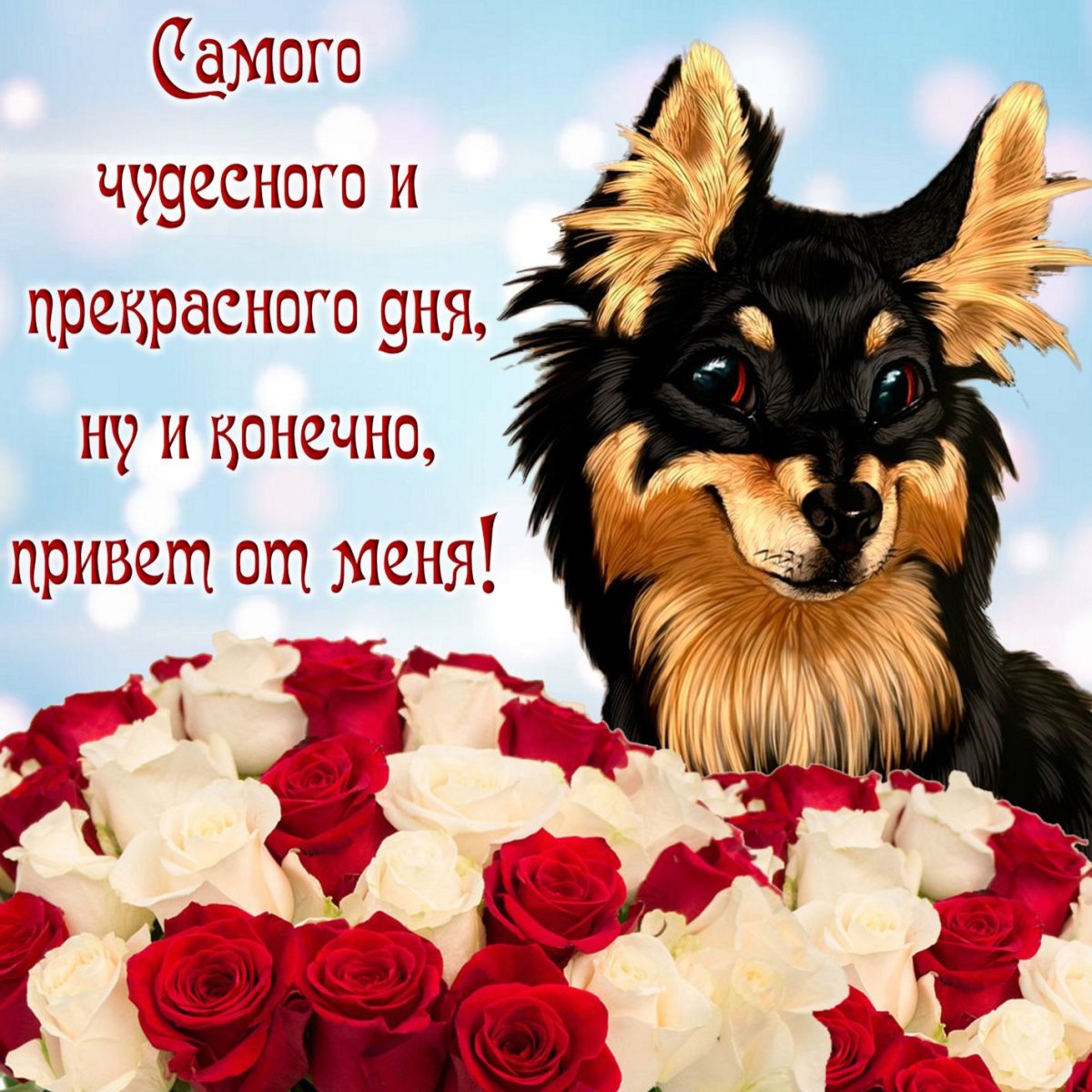 Доброго дня и хорошего настроения